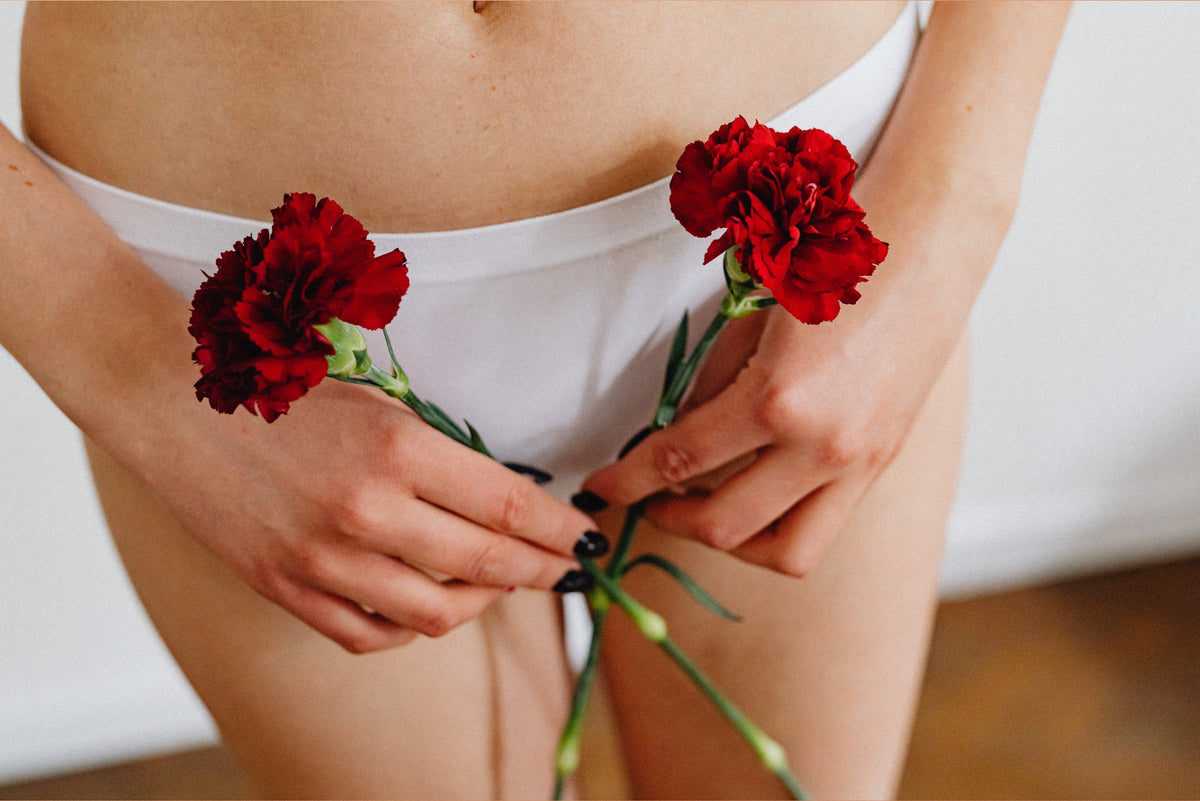 cycle menstruel ovulation